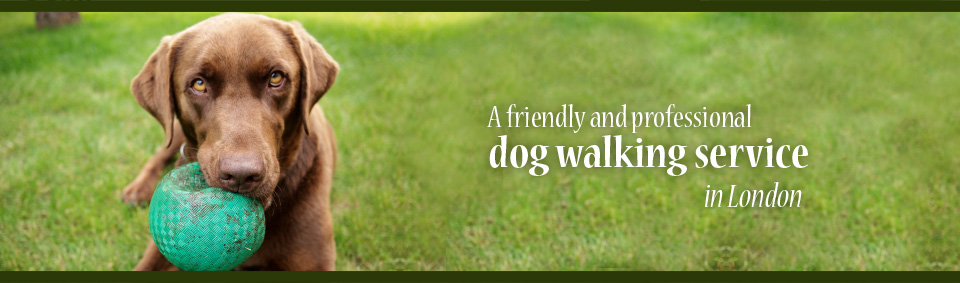 Helen's Dog Walking Chiswick